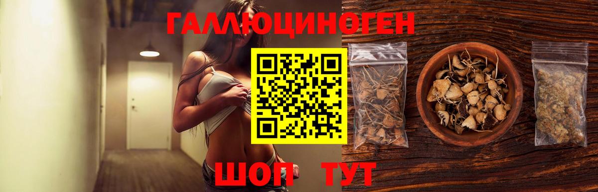 Псилоцибиновые грибы прущие грибы  Вход с VPN  Кувандык 